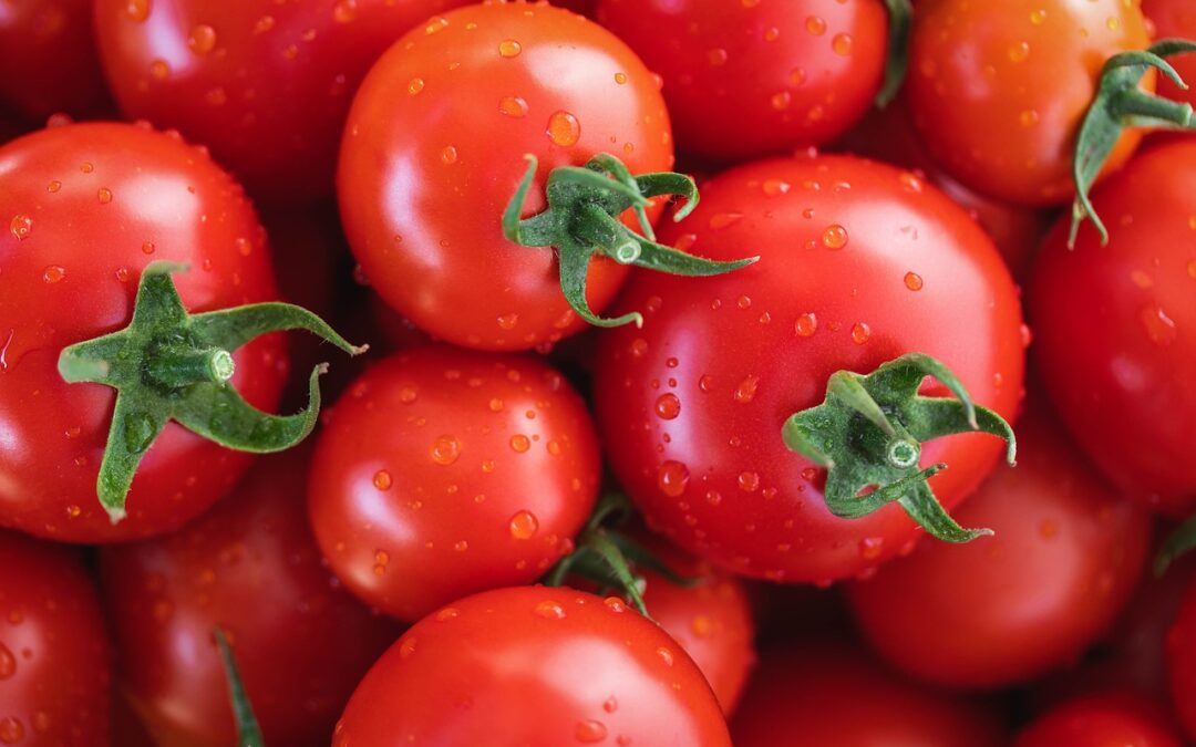 Warum schmecken moderne Tomaten oft wie Pappe